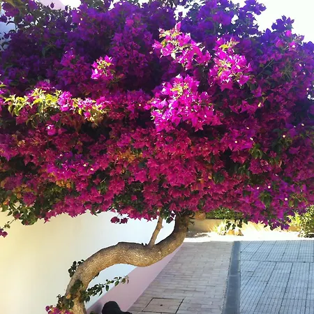Casa Do Cabo De Santa Maria Гостевой дом 3*